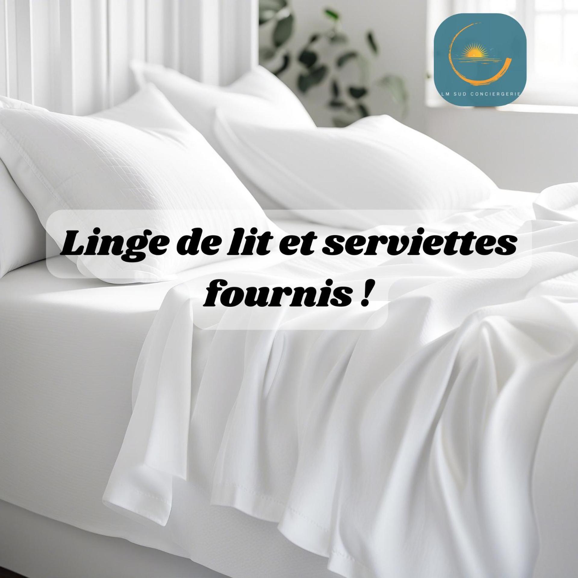 * F3 Haussmannien, Centre-Ville, 4 Pers, Wifi * Montpellier Exterior foto